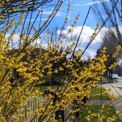 Beautiful day