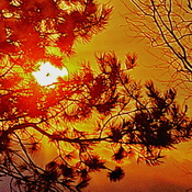 Winter sunset