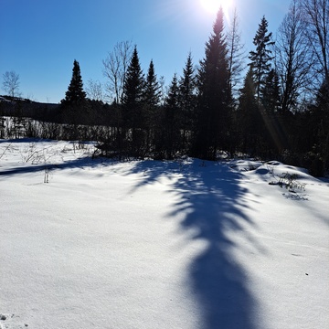 Ruth Lake Powassan, ON