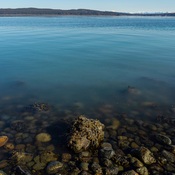 Herring Spawning in Port McNeill