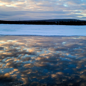 reflection